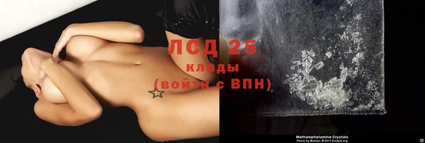 твердый Протвино