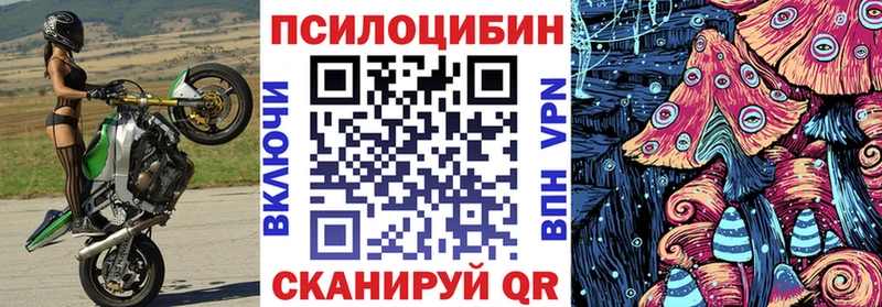 Галлюциногенные грибы MAGIC MUSHROOMS  где купить наркотик  Фрязино 